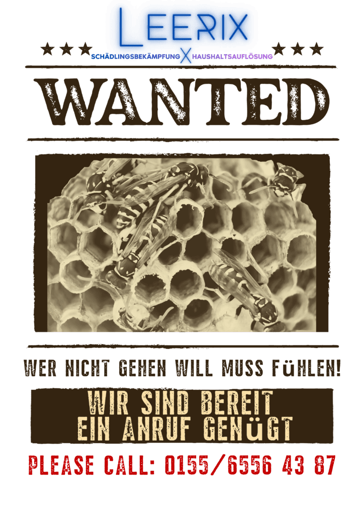 Wespenbekämpfung-kammerjaeger-schädlingsbekämpfung