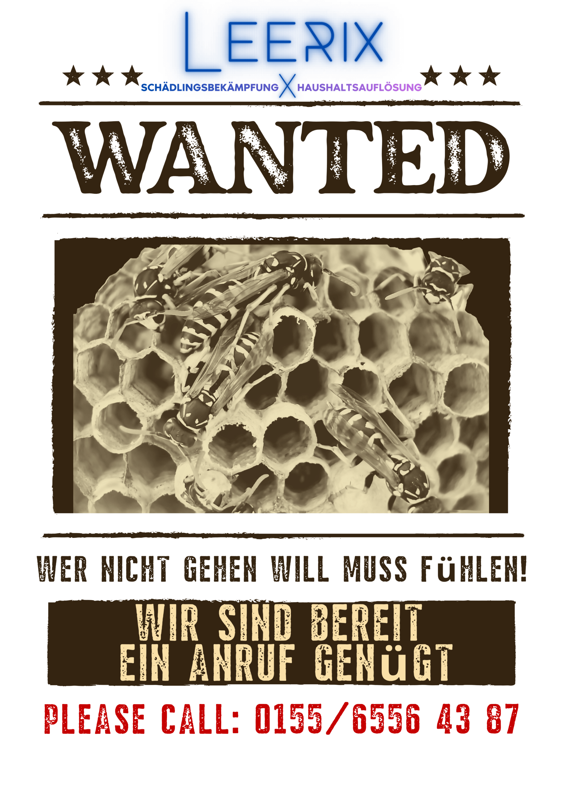 Wespenbekämpfung-kammerjaeger-schädlingsbekämpfung