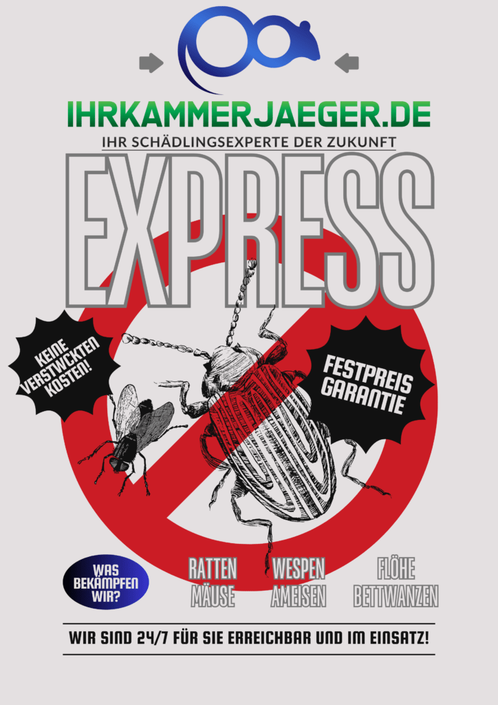 Kammerjäger Schädlingsbekämpfung Festpreis Garantie - LEERIX Service Flyer