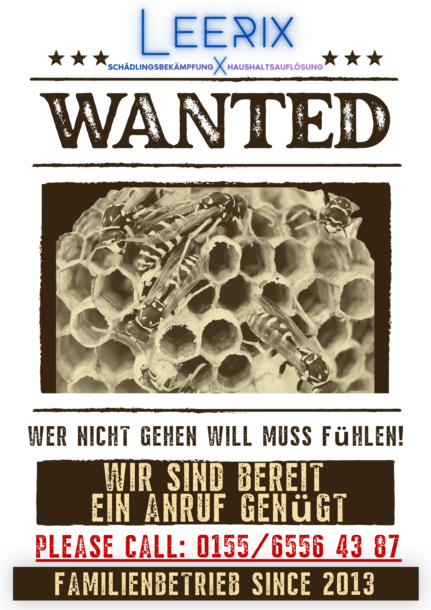 Wespenbekämpfung-kammerjaeger-schädlingsbekämpfung