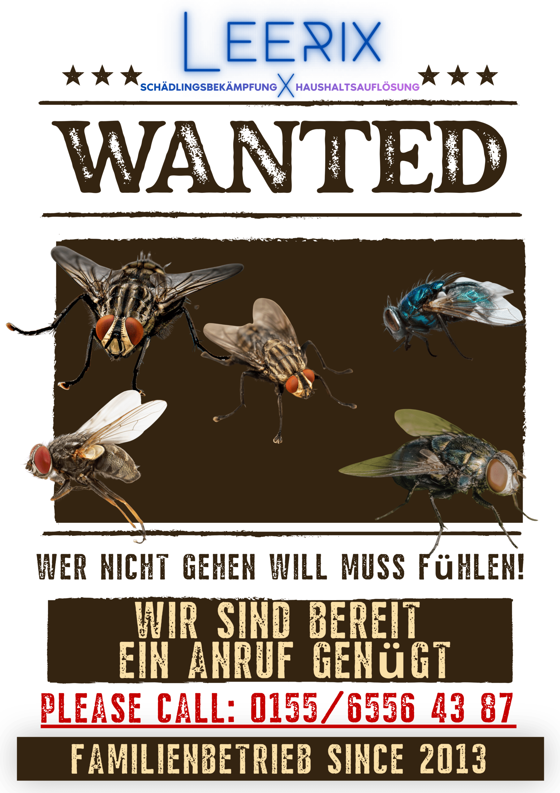Fliegenbekämpfung Kammerjäger Schädlingsbekämpfung