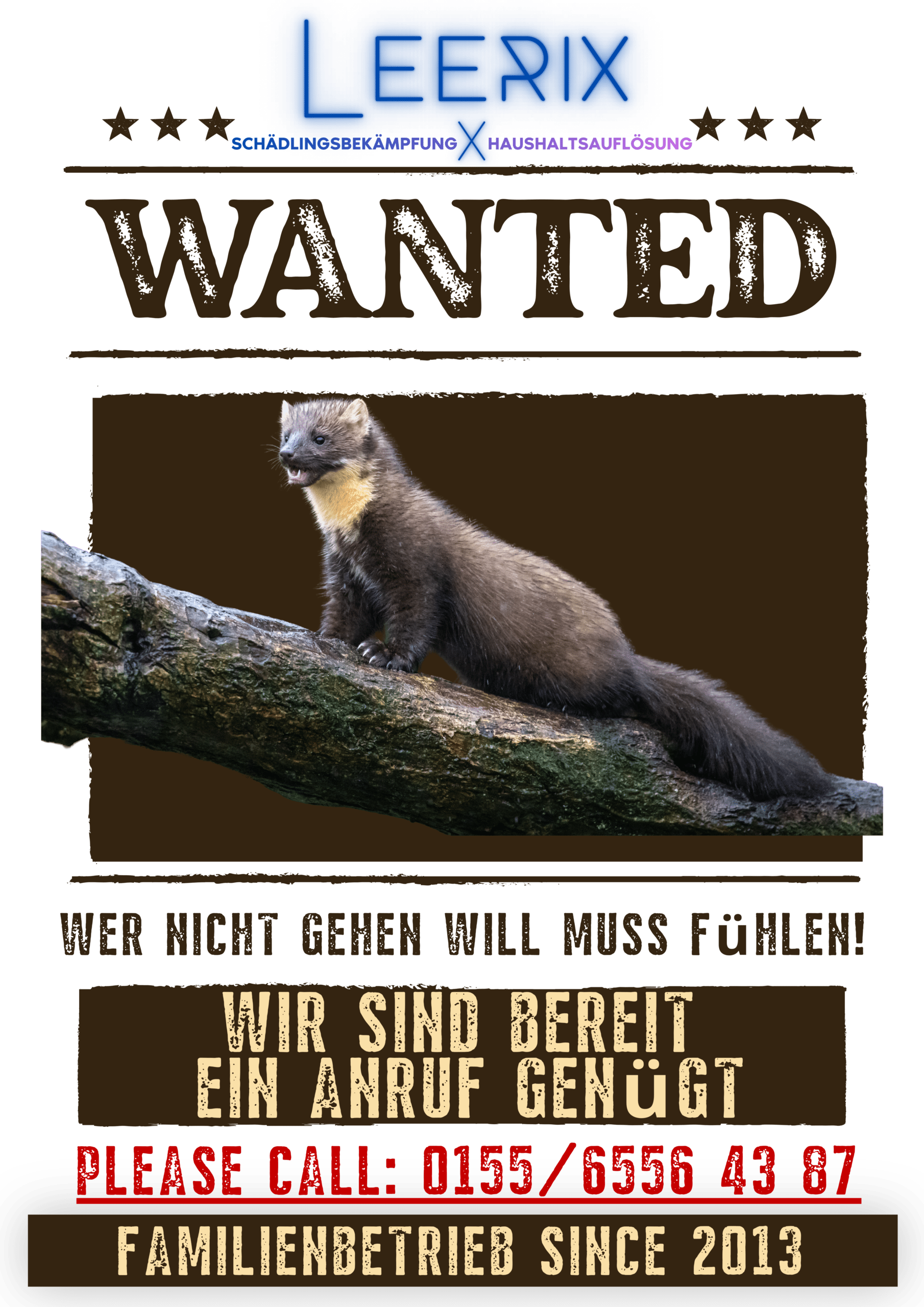 Mardervergrämung Kammerjäger Schädlingsbekämpfung