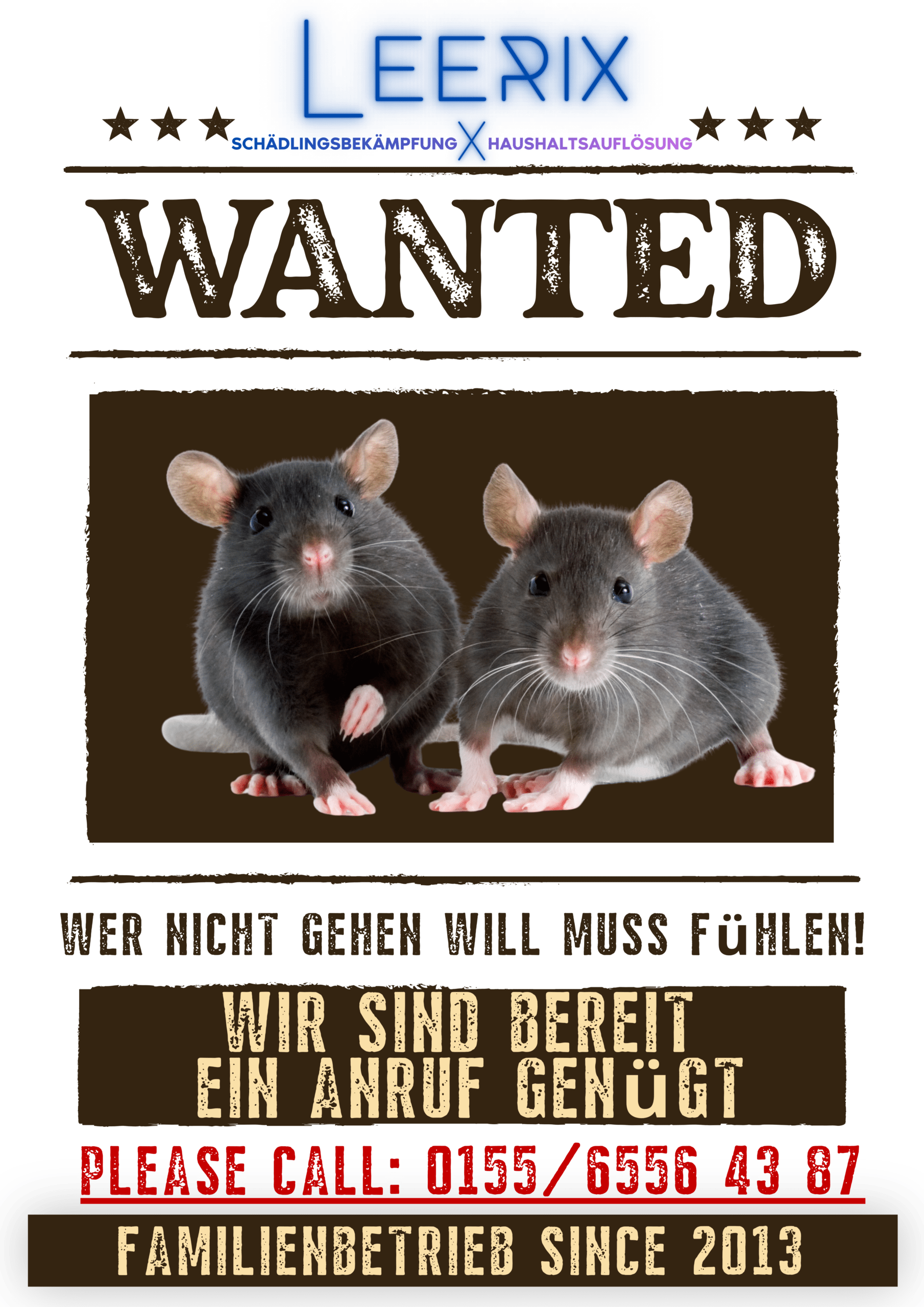 Rattenbekämpfung Kammerjäger Schädlingsbekämpfung