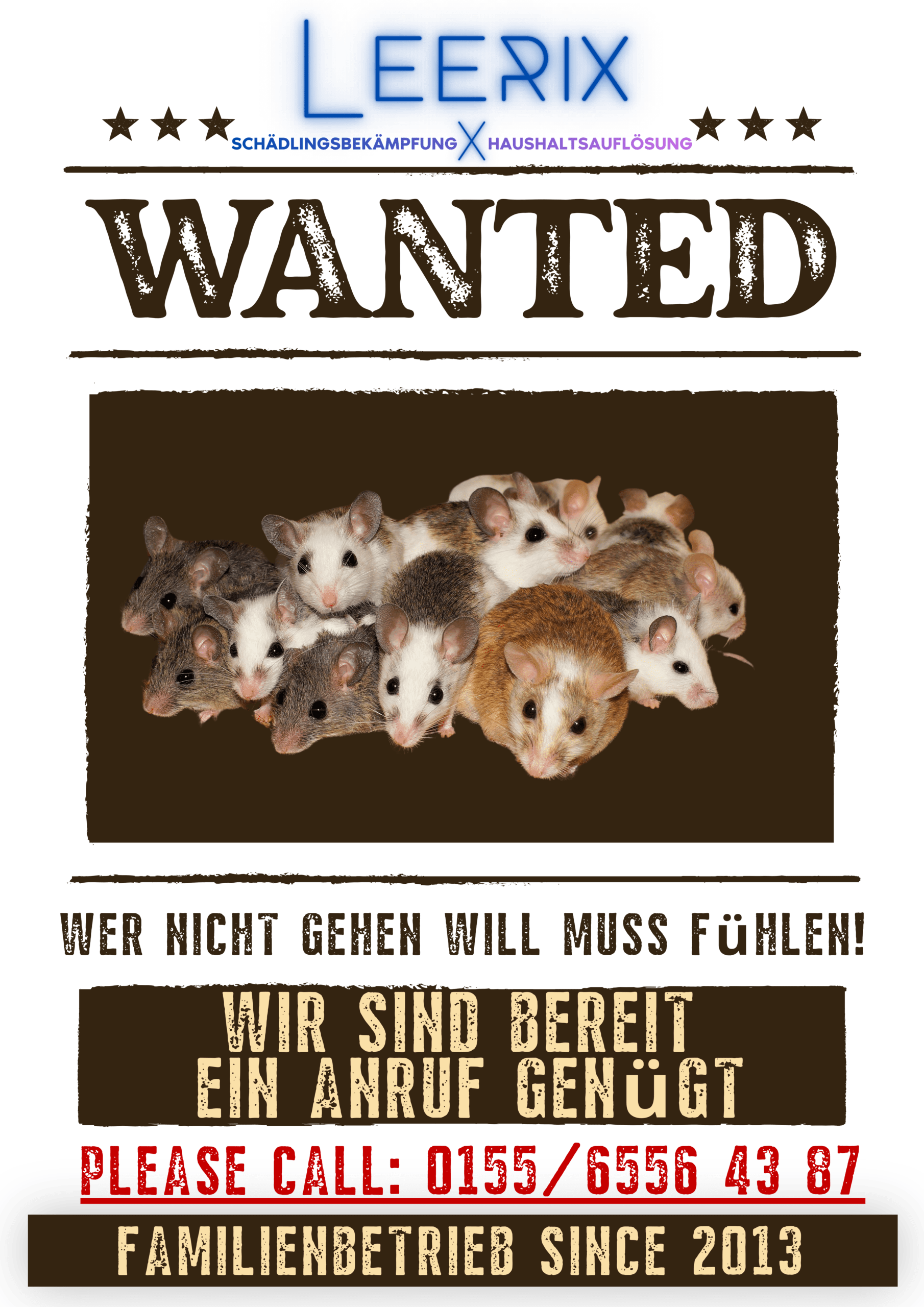 Mäusebekämpfung Kammerjäger Schädlingsbekämpfung