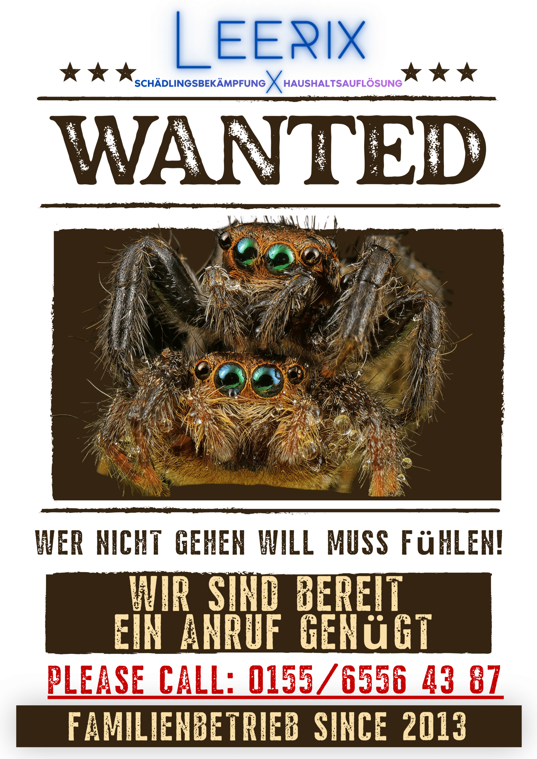 Spinnenbekämpfung Kammerjäger Schädlingsbekämpfung